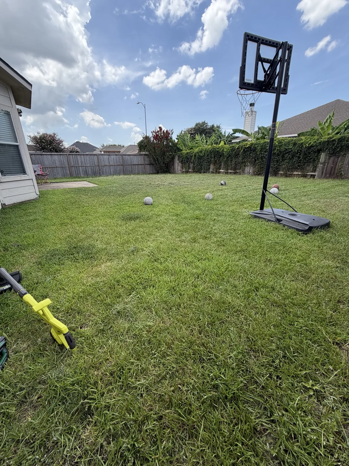 Fresh cut backyard after mowing