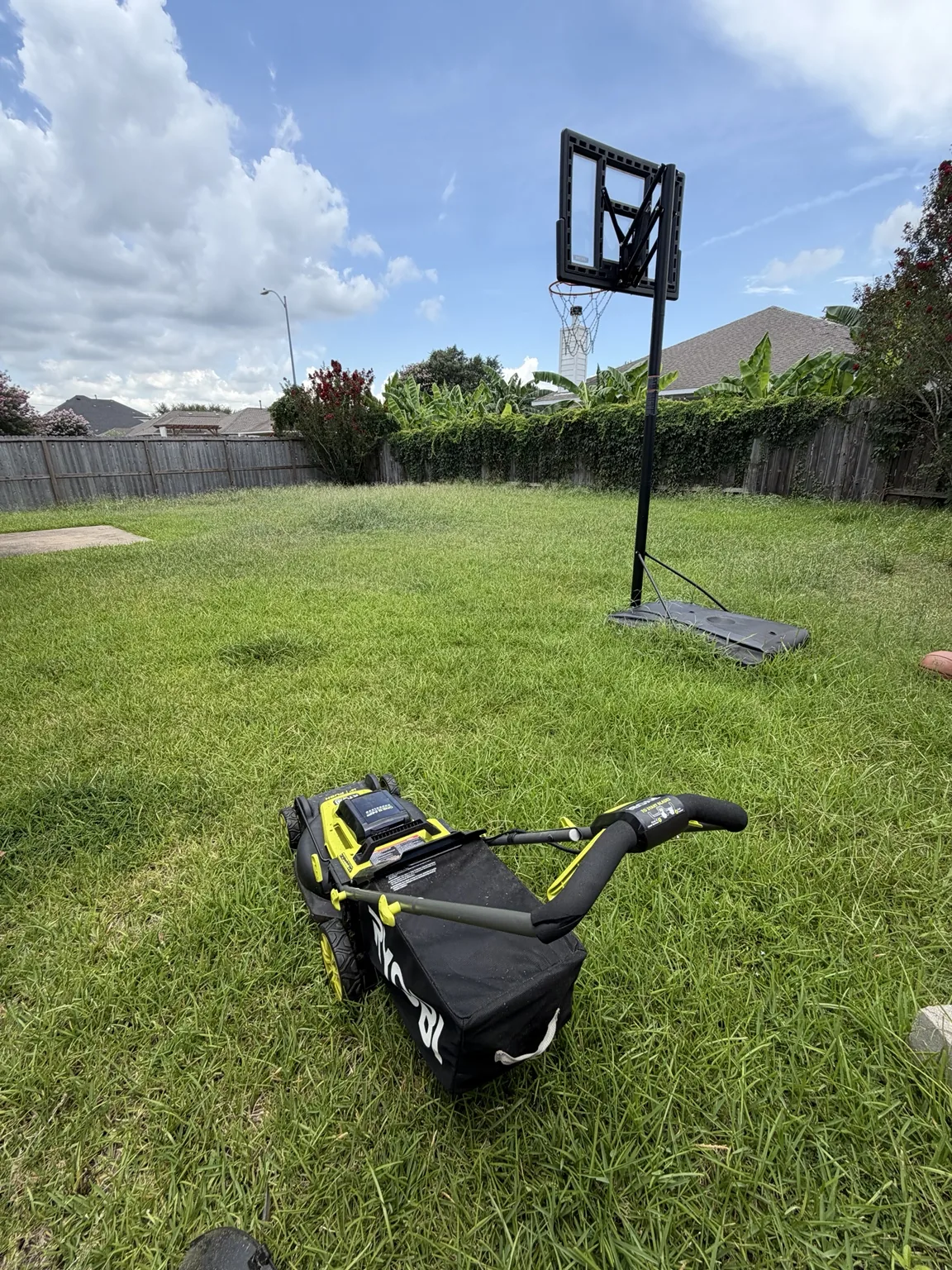 Tall backyard before mowing